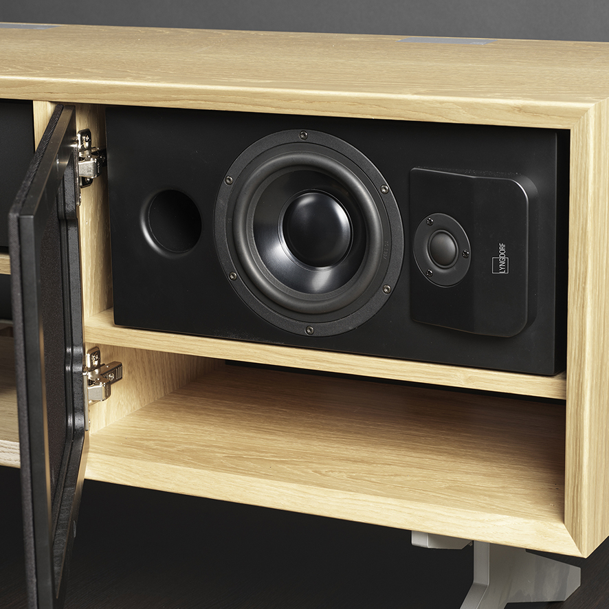 CS-1 speaker